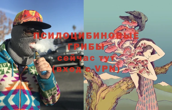 молекула духа Богородск