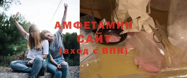 молекула духа Богородск