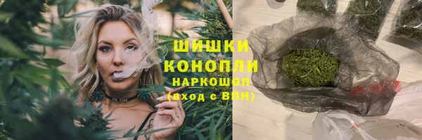 молекула духа Богородск