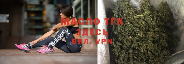молекула духа Богородск