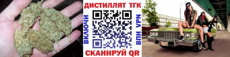 закладка  mega ССЫЛКА  Дистиллят ТГК концентрат  Шали 